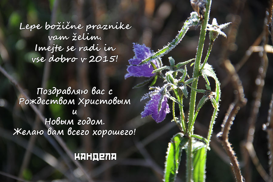 Lepe praznike in srečno 2015. С Рождеством Христовым и Новым годом!